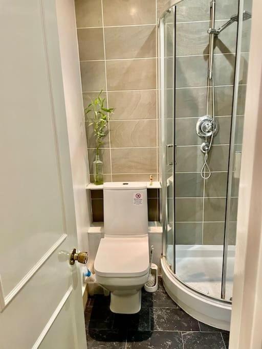 Spacious Flat With Huge Patio In Central Londres